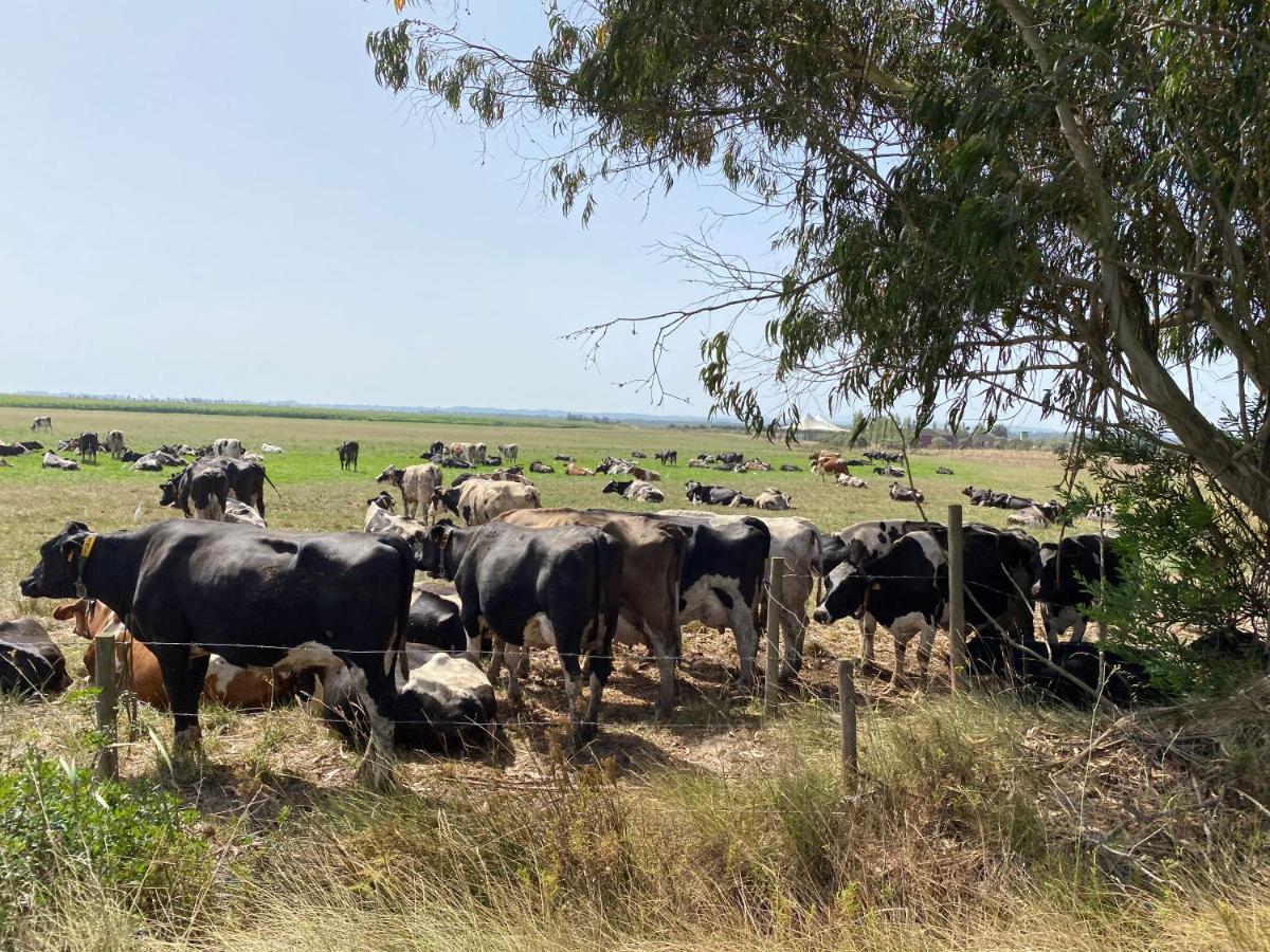 Casa Do Brejao Campo E Praia Odemira Eksteriør bilde