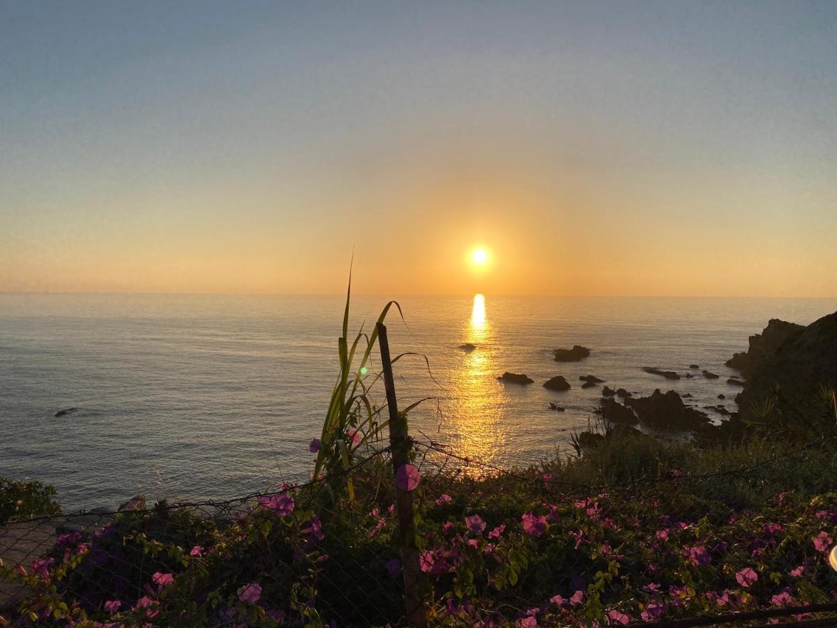 Casa Do Brejao Campo E Praia Odemira Eksteriør bilde
