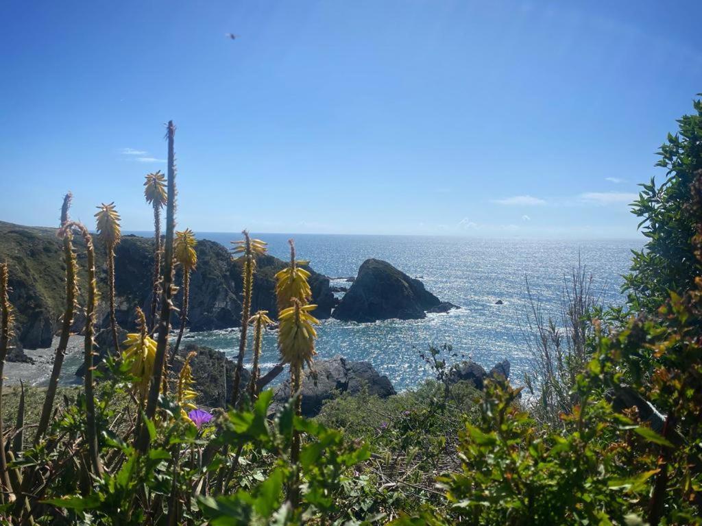 Casa Do Brejao Campo E Praia Odemira Eksteriør bilde