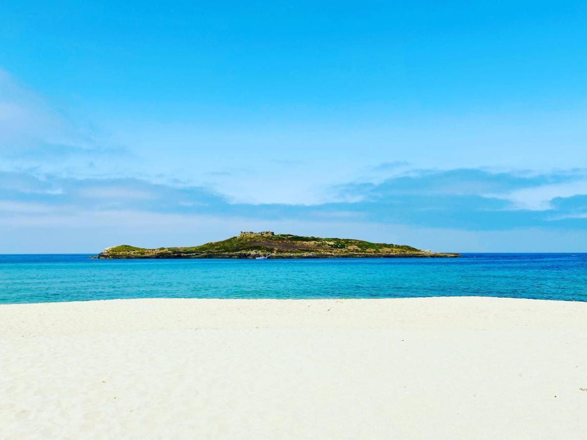 Casa Do Brejao Campo E Praia Odemira Eksteriør bilde