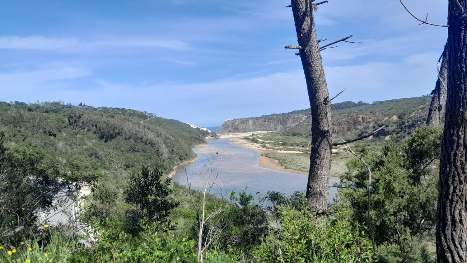 Casa Do Brejao Campo E Praia Odemira Eksteriør bilde