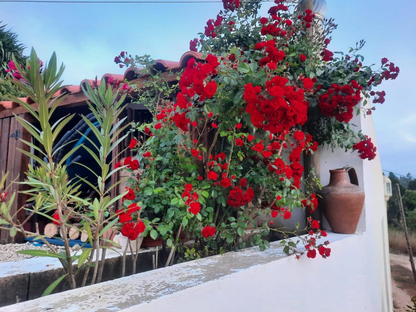 Casa Do Brejao Campo E Praia Odemira Eksteriør bilde